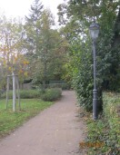 Foto: Altstädtische Wassertorpromenade Parkweg: Stammaustriebe behindern die Wegebenutzung 